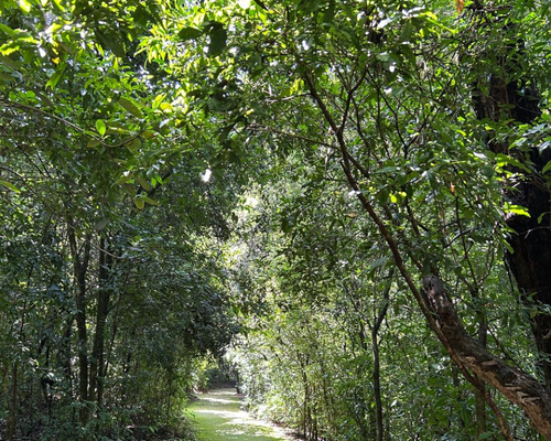 Natureza